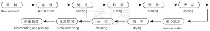 脱水蔬菜带式干燥工艺流程